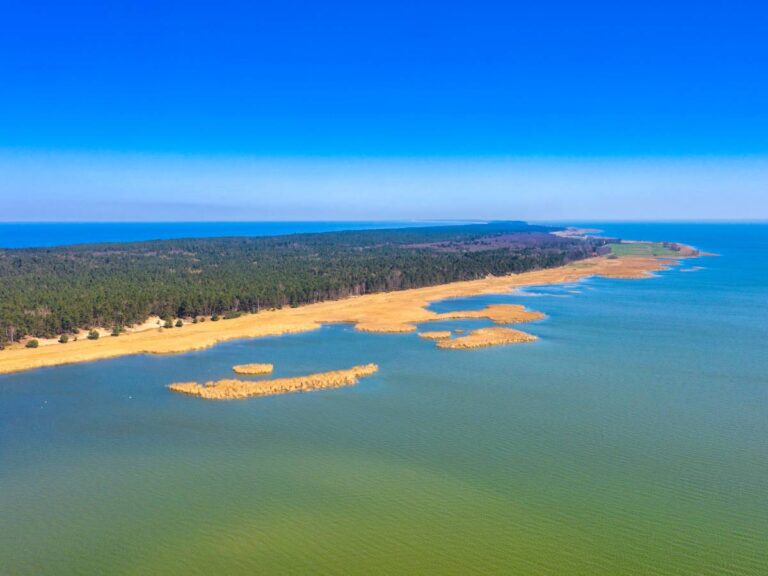 Plaża nad zalewem. Obrazek w artykule Największy zalew w Polsce. Ciekawostki i atrakcje turystyczne nad największym zalewem w Polsce